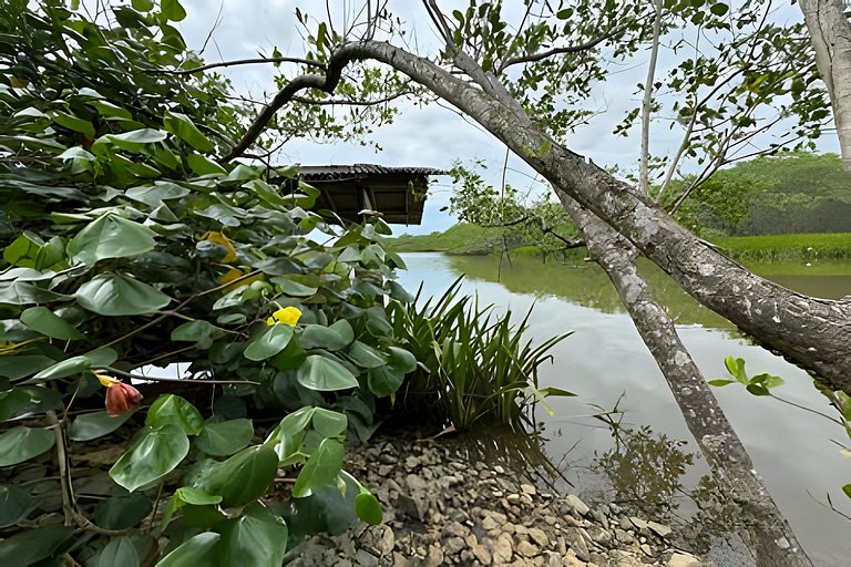 Aconchegante Casa a Beira do Rio Itapocu Prox. Mar