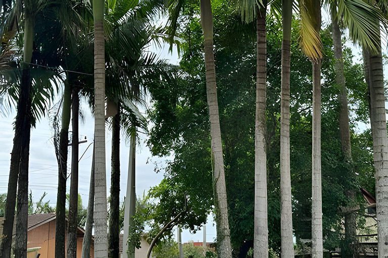Aconchegante Casa a Beira do Rio Itapocu Prox. Mar